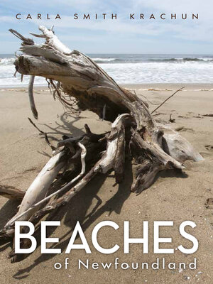 cover image of Beaches of Newfoundland
